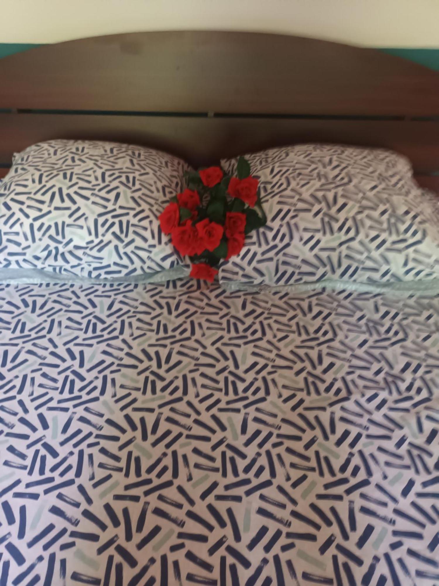 Lovely Flowers In Mount Lavinia Dehiwala-Mont Lavinia Extérieur photo
