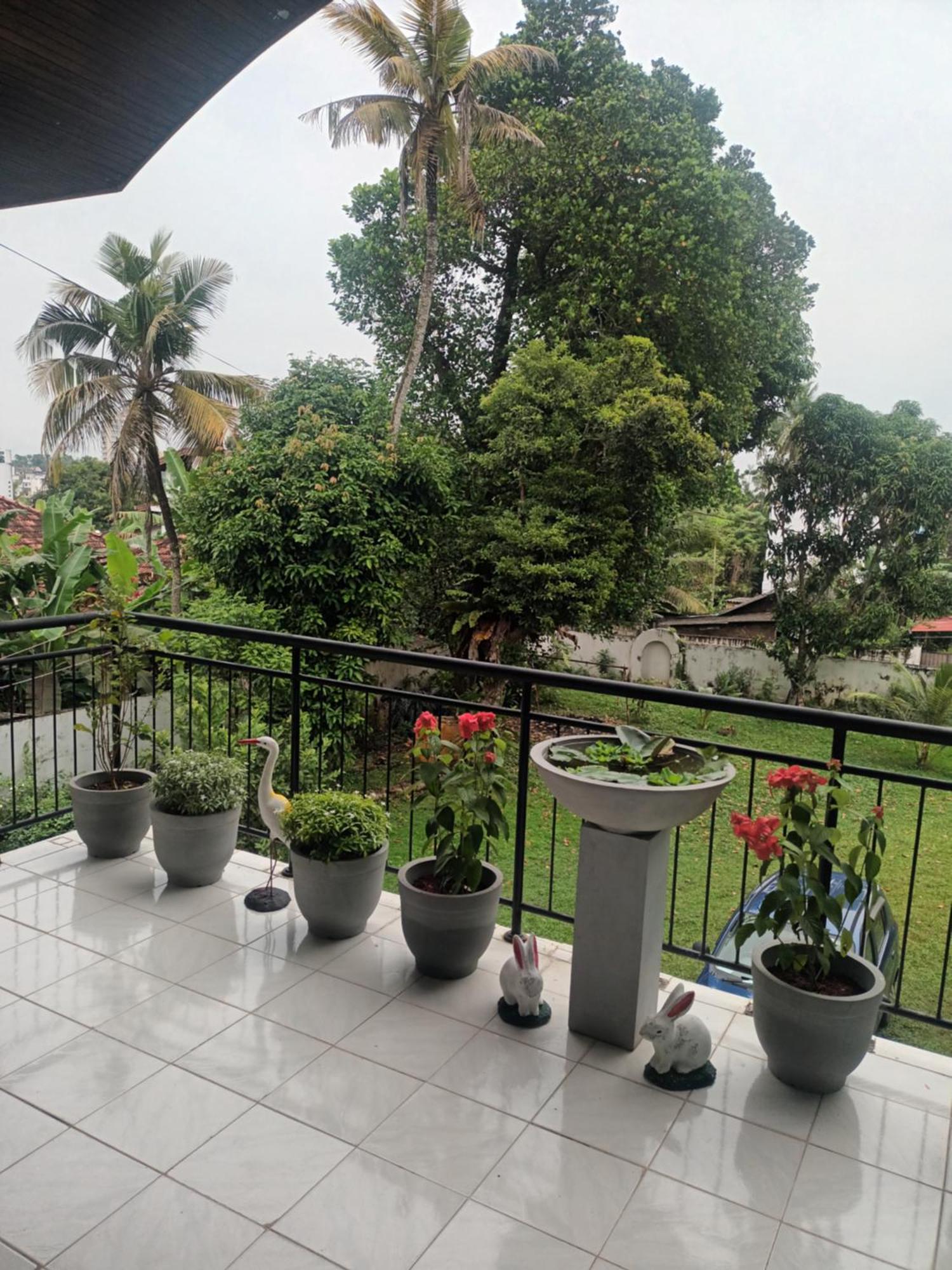 Lovely Flowers In Mount Lavinia Dehiwala-Mont Lavinia Extérieur photo